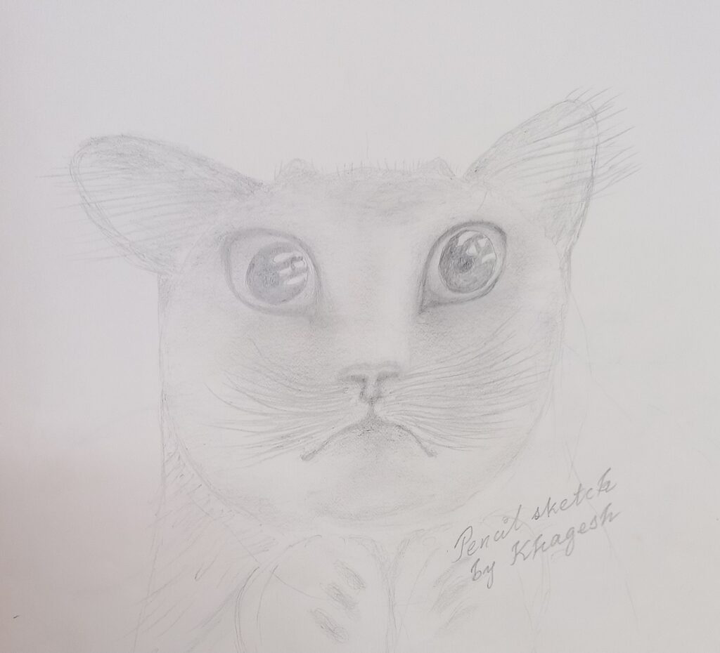 Pencil sketch of a cat by Khagesh Mahanta.