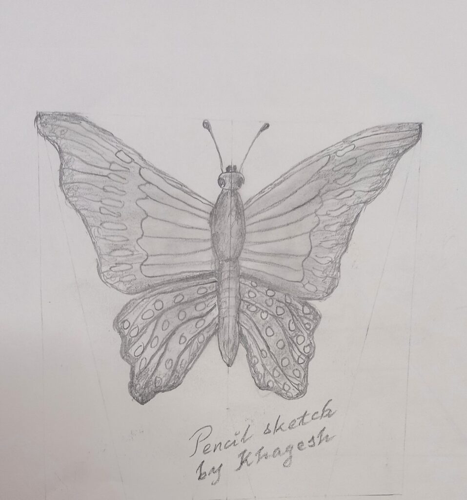 Pencil sketch of a butterfly by Khagesh Mahanta.